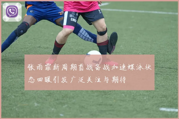 张雨霏新周期首战备战加速蝶泳状态回暖引发广泛关注与期待