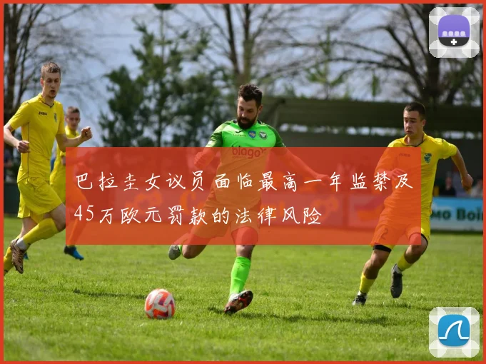 巴拉圭女议员面临最高一年监禁及45万欧元罚款的法律风险